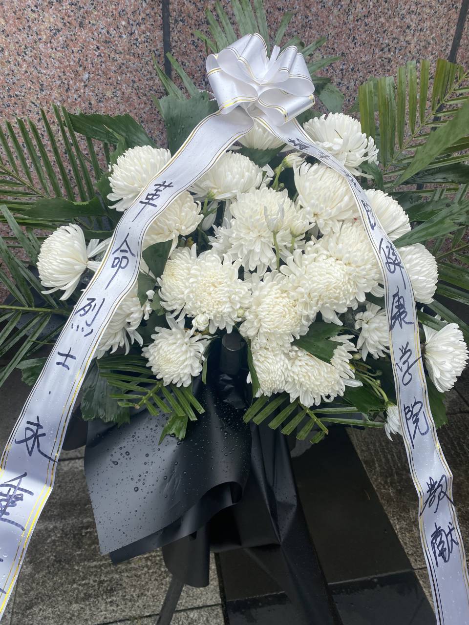 H(42{~$RLP47WQJHZVXHGCB_tmb