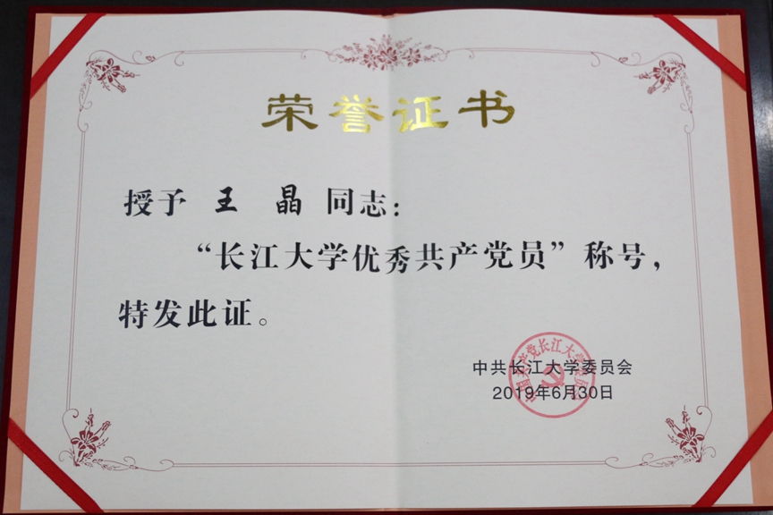 长大王晶优秀党员.JPG