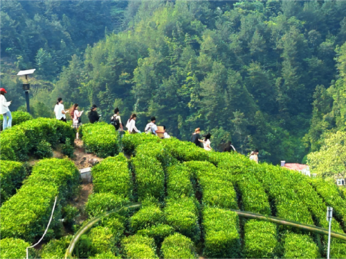 2025-06-20 12:17:33.535000