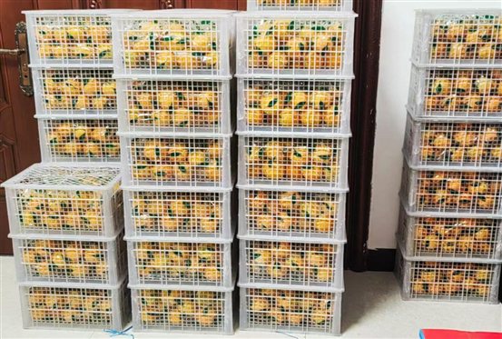 微信图片_20250507151636