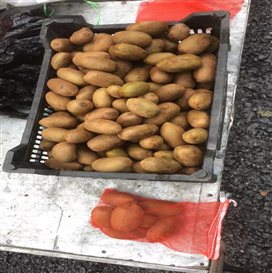 微信图片_20231024101302