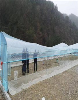 2529212a7f05f18a9666bdc471648af8_e2d688770b803250.jpeg 2529212a7f05f18a9666bdc471648af8_e2d688770b803250.jpeg