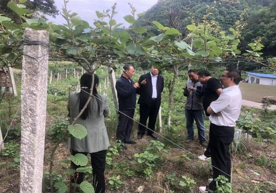 微信图片_20240528152403