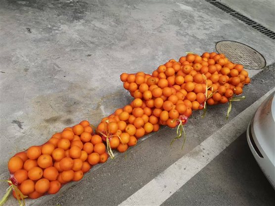 微信图片_20250102135837