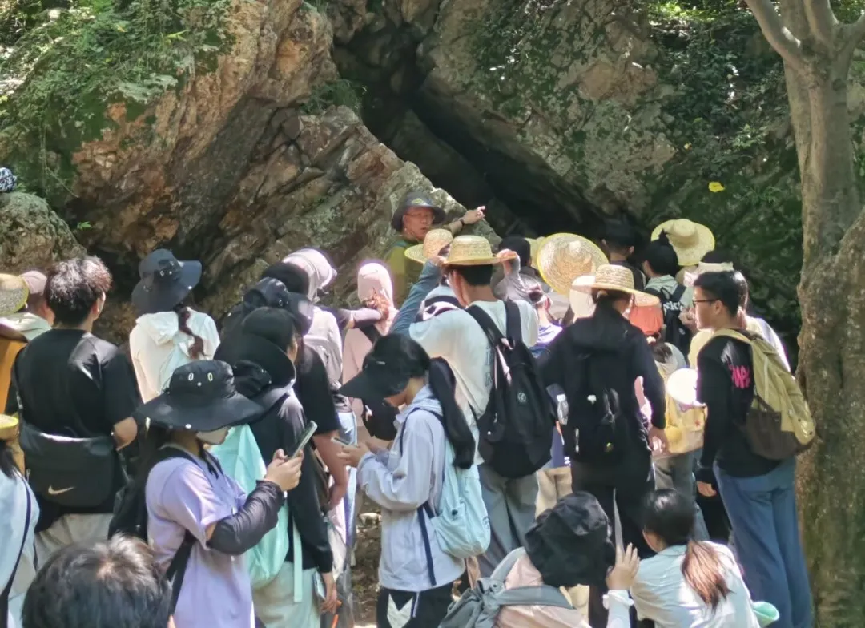 图片4.png 图片4.png